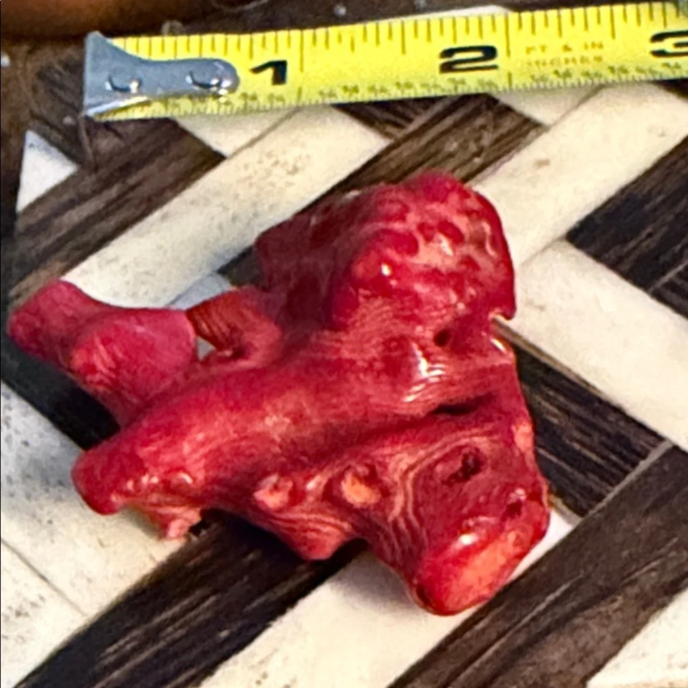 Red coral piece for Jewelry project I have had this for forty years